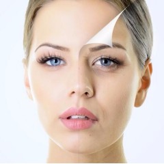 Cosmetic Peptide L-camosine Raw Matierials Powder CAS 305-84-0