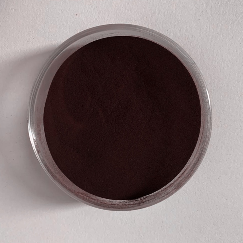 Natural Chaga Mushroom Extract  Polysaccharides 10%  / Chaga Triterpene2%