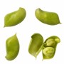 High Quality 99% Pure Mucuna Pruriens Extract Levodopa