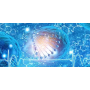Recombinant Minimum Streptavidin r-mSA