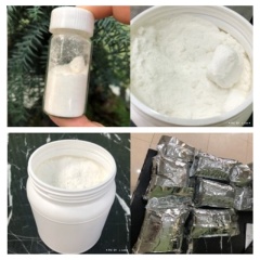 High Quality Undenatured Collagen Type II Powder Chicken Cartilage Collagen 9064-67-9 High Quality Undenatured Collagen Type II Powder Chicken Cartilage Collagen 9064-67-9