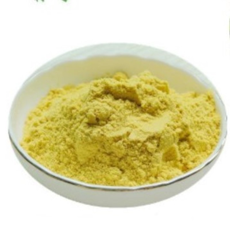 High quality Quercetin Extract quercetin 98%