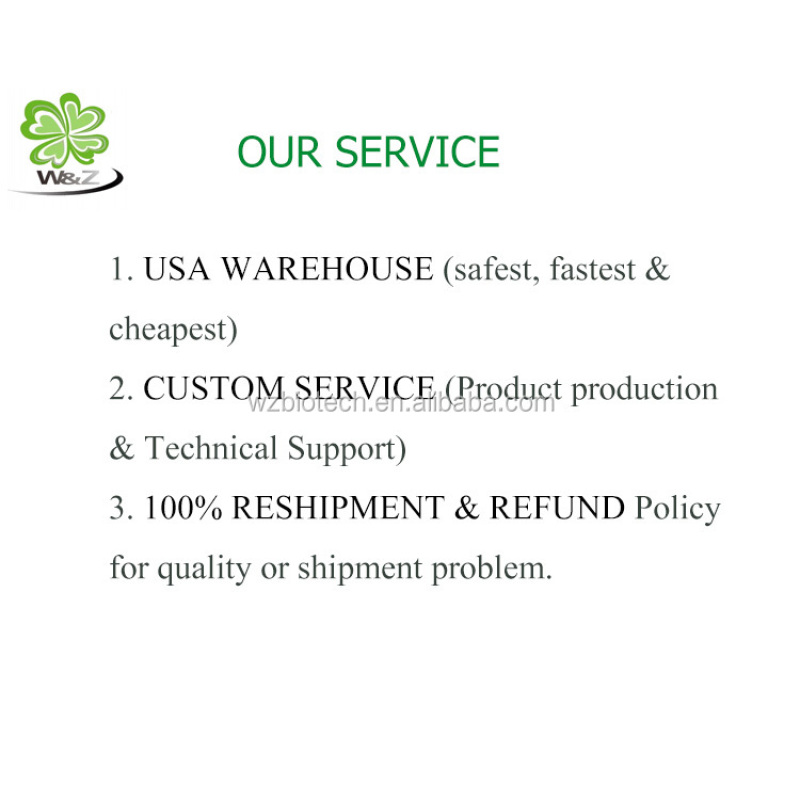 High Quality Bacopa Monnieri Extract / bacopa monnieri 50%