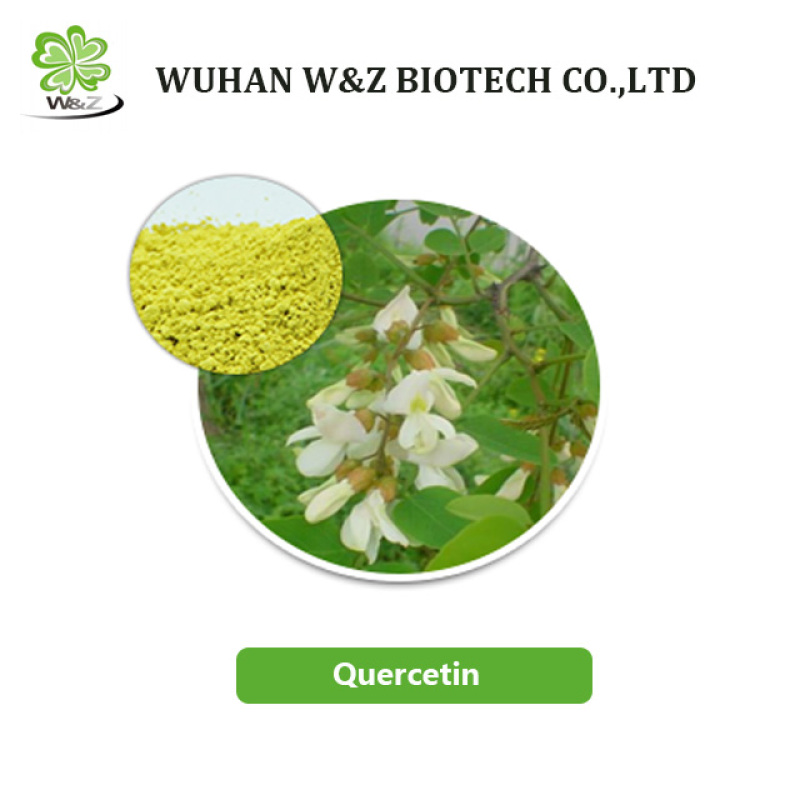 Hot Sale 98% Purity Cheap Quercetin Dihydrate powder tablets with free sample Pharmaceutical grade
