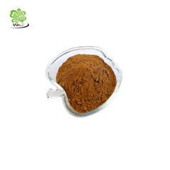 100% Pure natural organic apple extract 90% phloridzin with best price 100% Pure natural organic apple extract 90% phloridzin with best price