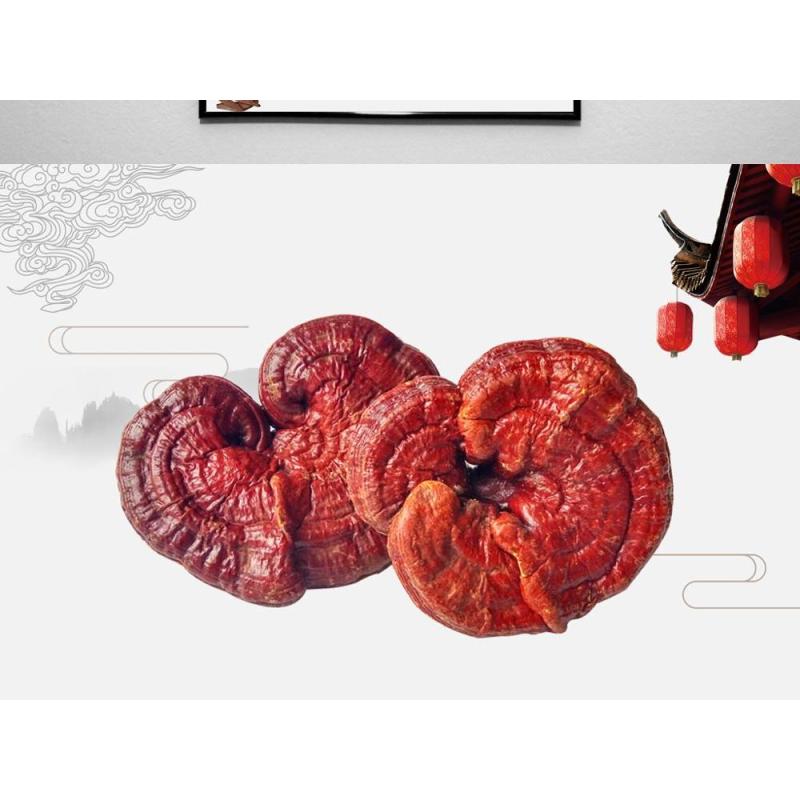Reishi(Ganoderma lucidum) Beta D Glucan