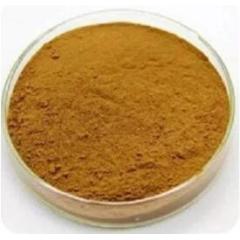 GMP Factory Supply Fucus Extract Bladderwrack Extract Fucoxanthin