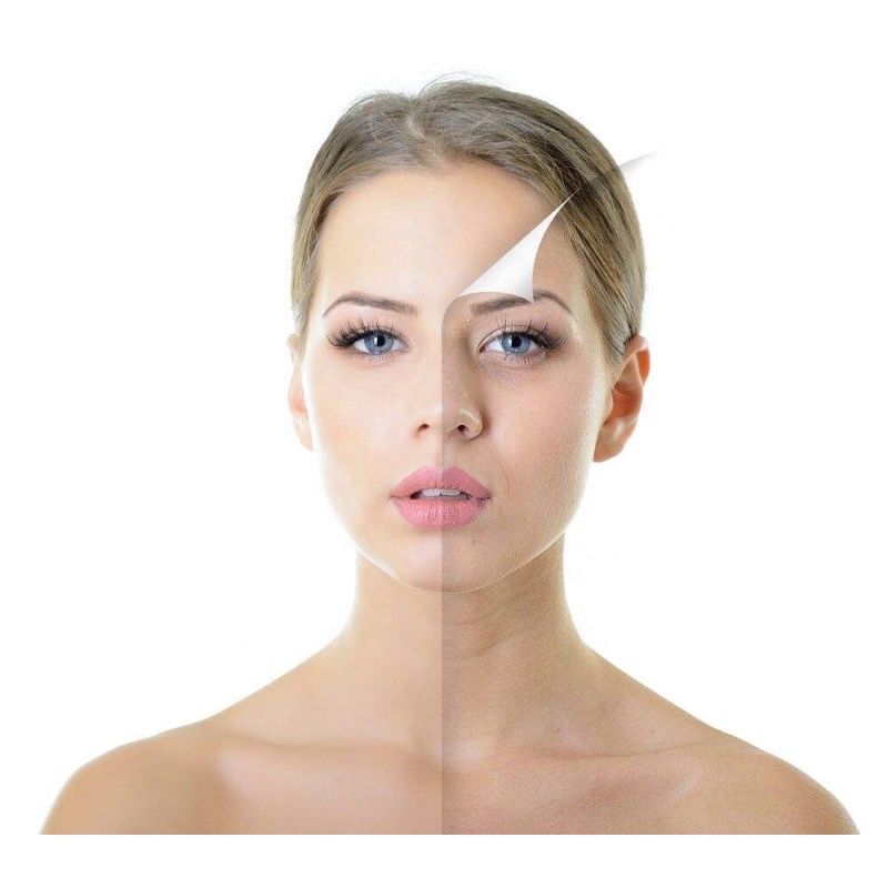 Supply Cosmetic Peptide Bulk Powder L-Carnosine CAS 305-84-0 with Best Price