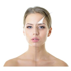 Supply Cosmetic Peptide Bulk Powder L-Carnosine CAS 305-84-0 with Best Price
