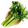 Celery Extract Chamomile Extract Apigenin Powder CAS NO 520-36-5 Apigenin