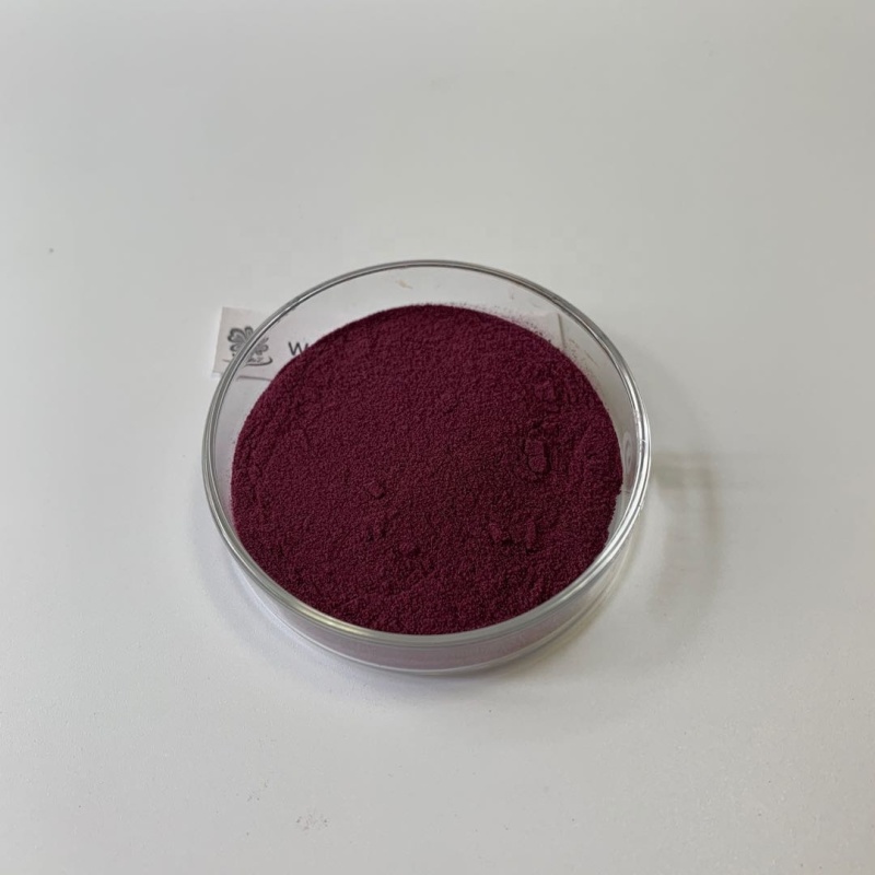 HOT Sell Antiviral Elderberry extract 25% Anthocyanins