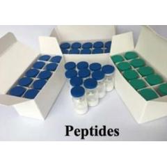 Recombinant Streptococcal Protein G / r-SPG / SPG Bioengineering