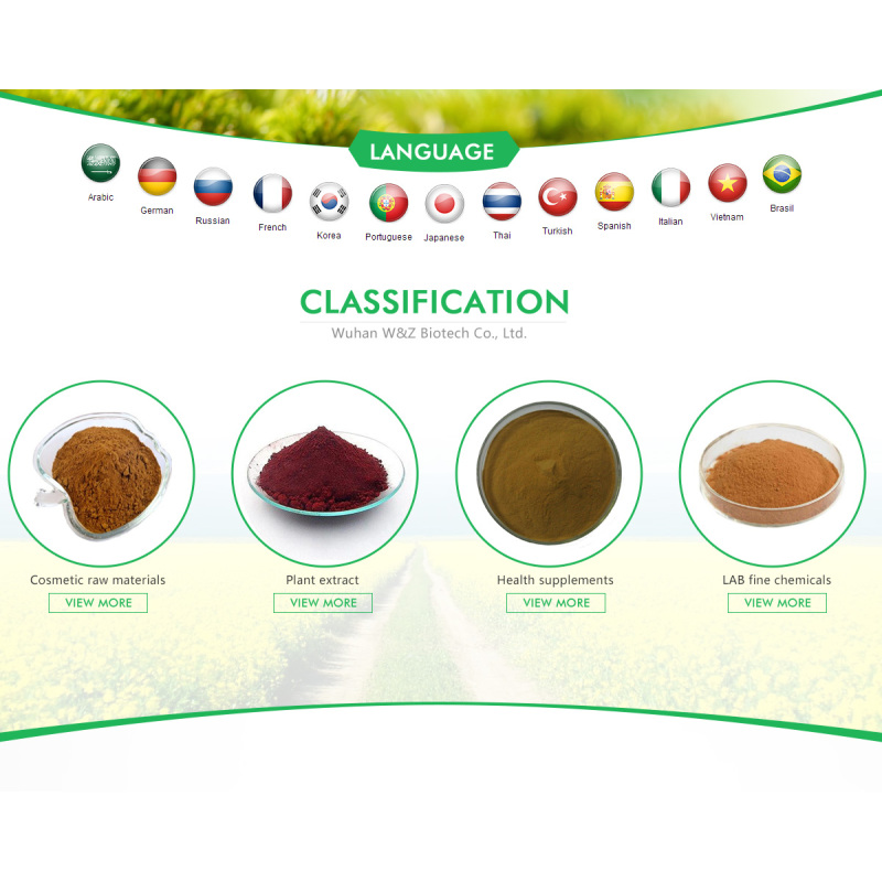 Deap-sea Fish Extract Hydrolyzed Elastin Powder 99% for Cosmetics