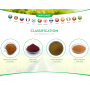 Deap-sea Fish Extract Hydrolyzed Elastin Powder 99% for Cosmetics