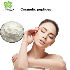 Acetyl Hexapeptide-3 ,Acetyl Hexapeptide-8 for anti-wrinkle and anti-aging
