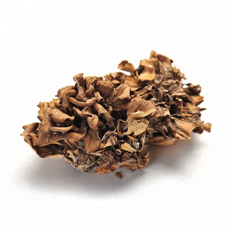 Maitake Mushroom Extract 10.0~30.0% Polysaccharides by UV