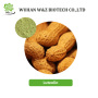 Luteolin Natural Herbal Extract 98% Luteolin Powder