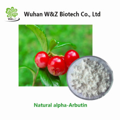 Manufacturer supply Cosmetics Ingredient Skin Whiteners Beta-arbutin Beta Arbutin CAS No. 497-76-7