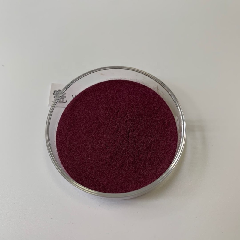 HOT Sell Antiviral Elderberry extract powder 5% - 25% Anthocyanins USA warehouse shipment