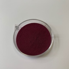 HOT Sell Antiviral Elderberry extract powder 5% - 25% Anthocyanins USA warehouse shipment