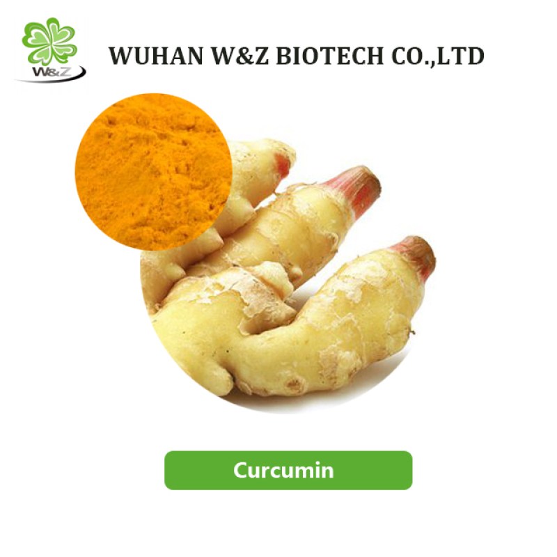 Supply Turmeric Root Extract Powder Curcumin 95% for Healthcare Supplementop Quality