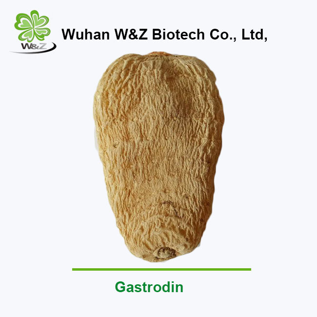 Natural Herbl Gastrodia Tuber Extract Gastrodin 98% Powder with free sample
