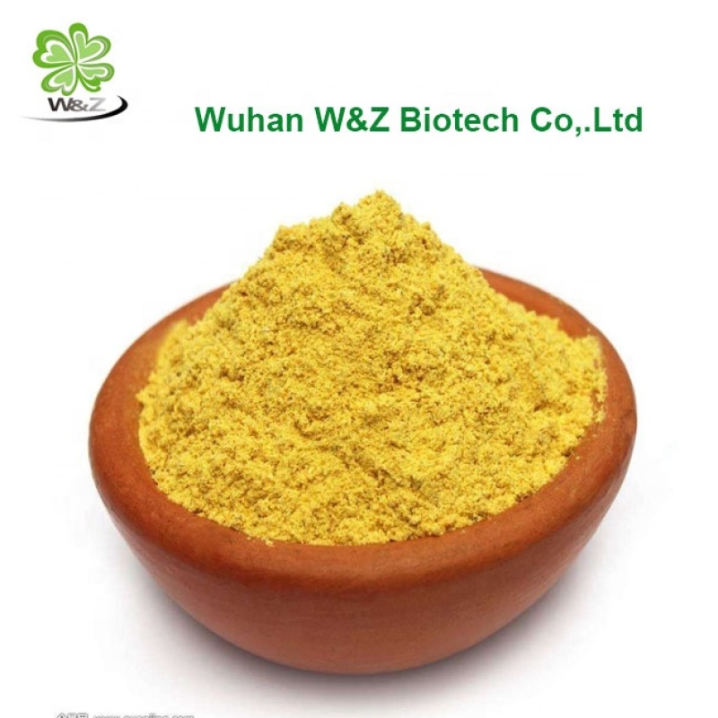 Sophora Japonical Extract Quercetin Powder 98% CAS 117-39-5 Quercetin