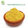 Sophora Japonical Extract Quercetin Powder 98% CAS 117-39-5 Quercetin