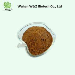 Factory Supply Epimedium extract / Horny Goat Weed Powder for Enhance Sex Ability icariin powder Factory Supply Epimedium extract / Horny Goat Weed Powder for Enhance Sex Ability icariin powder