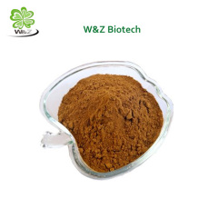 Supply Linseed Extract Secoisolaricires/Flax Lignans Extract/Flaxseed Oil Powder