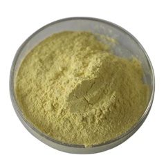 Rutin Sophora japonica L Extract // Vitamin P 95% HPLC