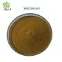 Organic  Oyster Mushroom Extract Powder Polysaccharide 10%-50%