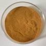 Herbal Supplements TRIBULUS TERRESTRIS P.E. 40%