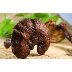 Low Price Ganoderma Lucidum Reishi Mushroom Extract Powder