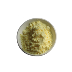Natural extract Evodiae Extract / Evodia Rutaecarpa Extract / Evodiamine powder CAS 518-17-2 Natural extract Evodiae Extract / Evodia Rutaecarpa Extract / Evodiamine powder CAS 518-17-2