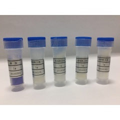 Cosmetic Peptide Copper Peptide // GHK-Cu // Copper Tripeptide-1 for Serum