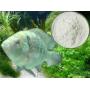 High Quality Japan Fish Collagen Peptide P
