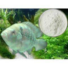 High Quality Japan Fish Collagen Peptide P