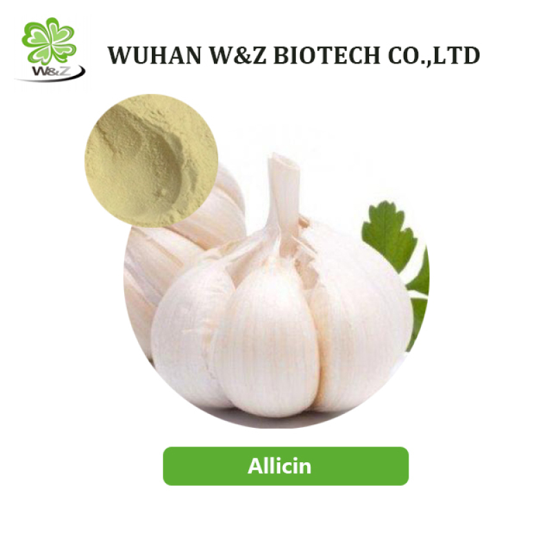 Odorless Garlic Extract 1-10%Alliin Allicin