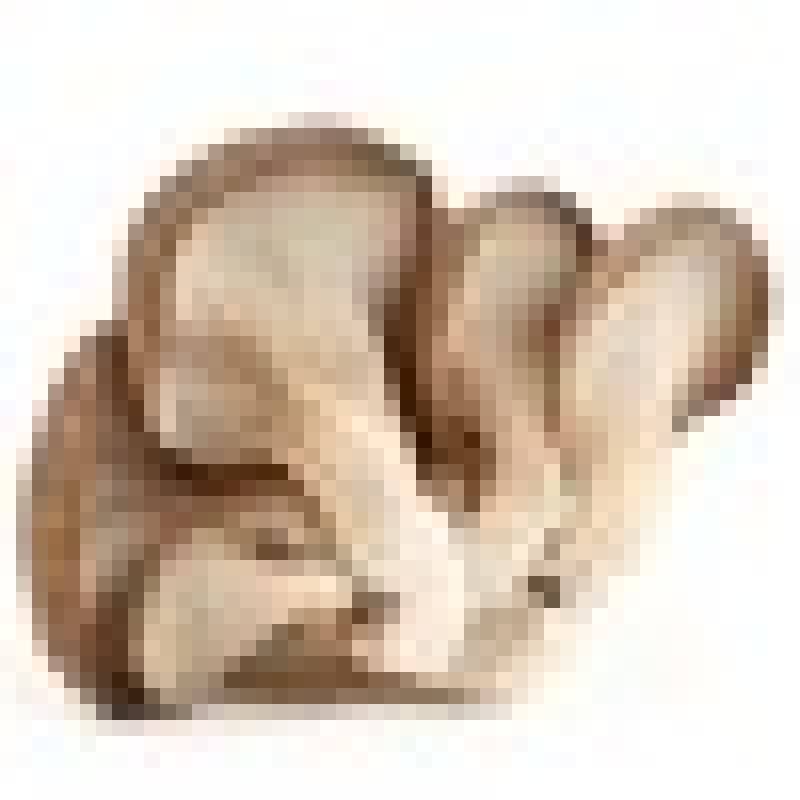 Organic  Oyster beta D glucan