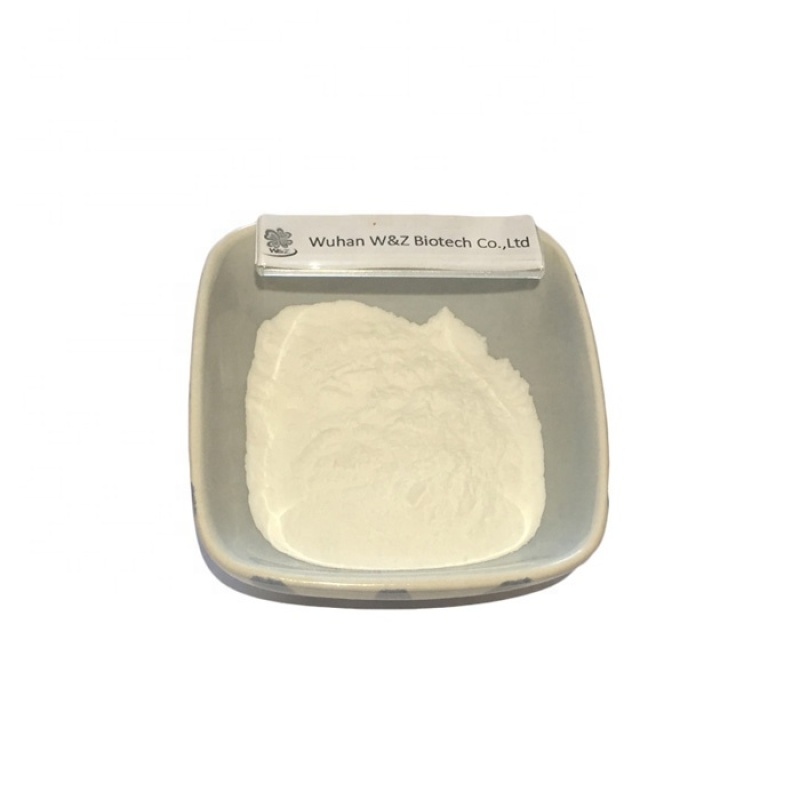 Organic  Oyster  BETA D GLUCAN 10- 50%
