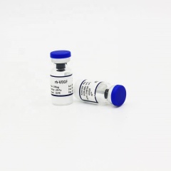 Recombinant Staphylococcal Protein A r-SPA