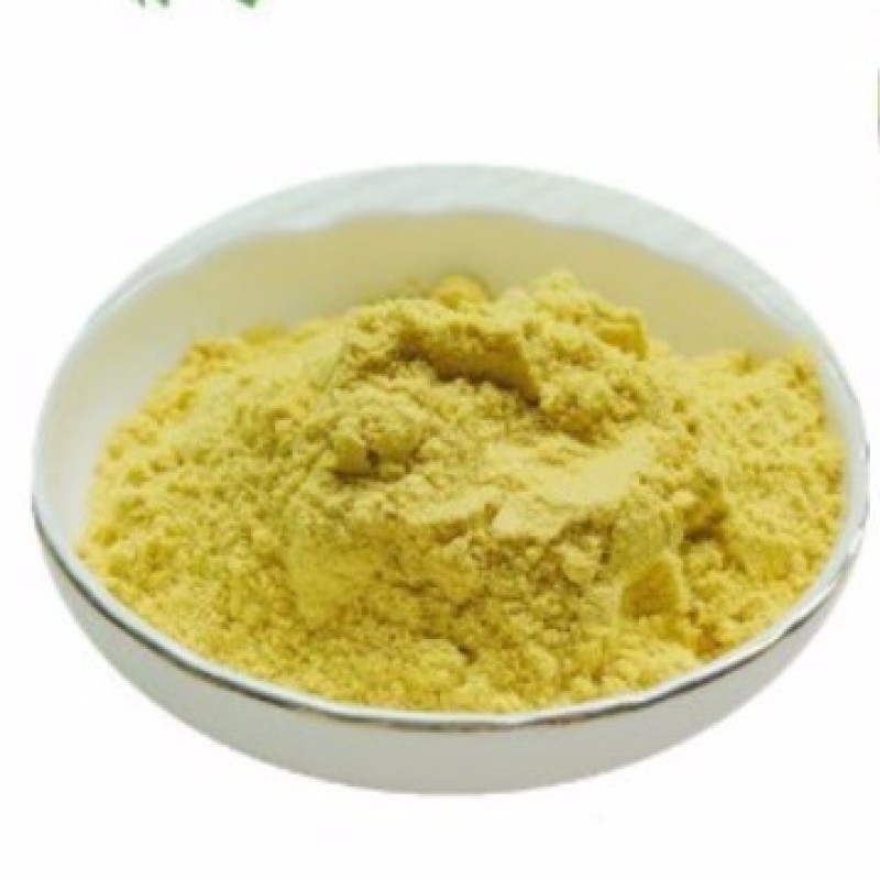 Sophora Japonical Extract Quercetin Powder 98% CAS 117-39-5 Quercetin
