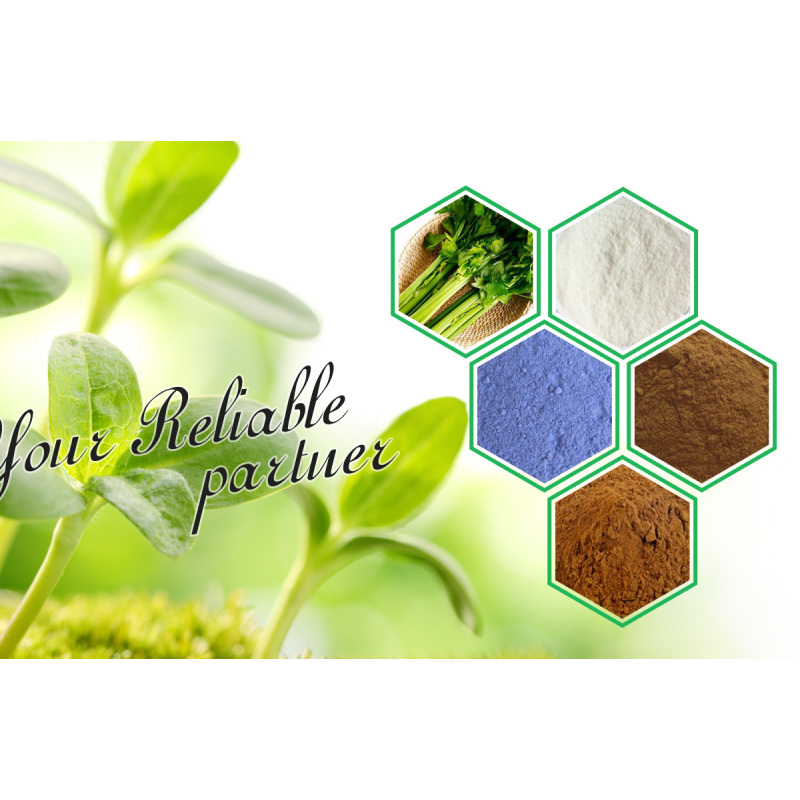 Cosmetic Ingredient Caprylylglycine for Anti-aging CAS 14246-53-8