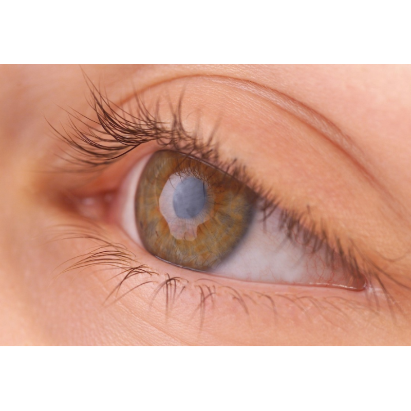 Eyelash Growth Cosmetic Peptide Myristoyl Pentapeptide-17 CAS 959610-30-1