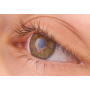 Eyelash Growth Cosmetic Peptide Myristoyl Pentapeptide-17 CAS 959610-30-1