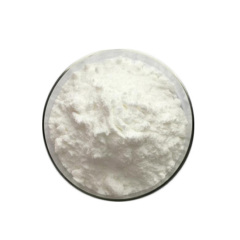 Top quality Pramiracetam 68497-62-1 / Best Selling Bulk Powder Pramiracetam