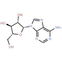 99% Pure Adenosine Powder CAS 58-61-7  Pharmaceutical Intermidates