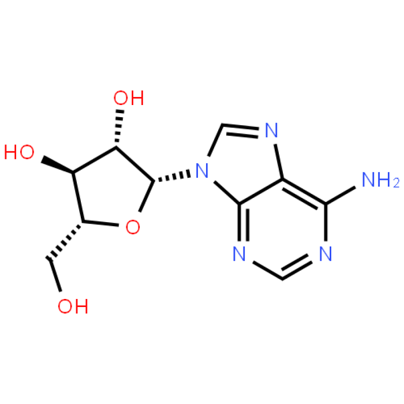99% Pure Adenosine Powder CAS 58-61-7  Pharmaceutical Intermidates