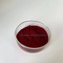 Factory Supply Natural Anti-cancer Celastrol Extract Celastrol